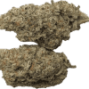 a close up of a plant