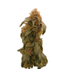 a plant with leaves on it